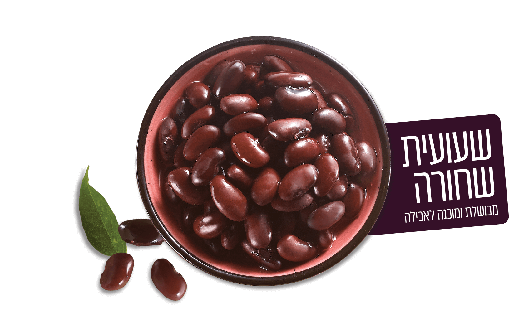 שעועית שחורה בקופסה