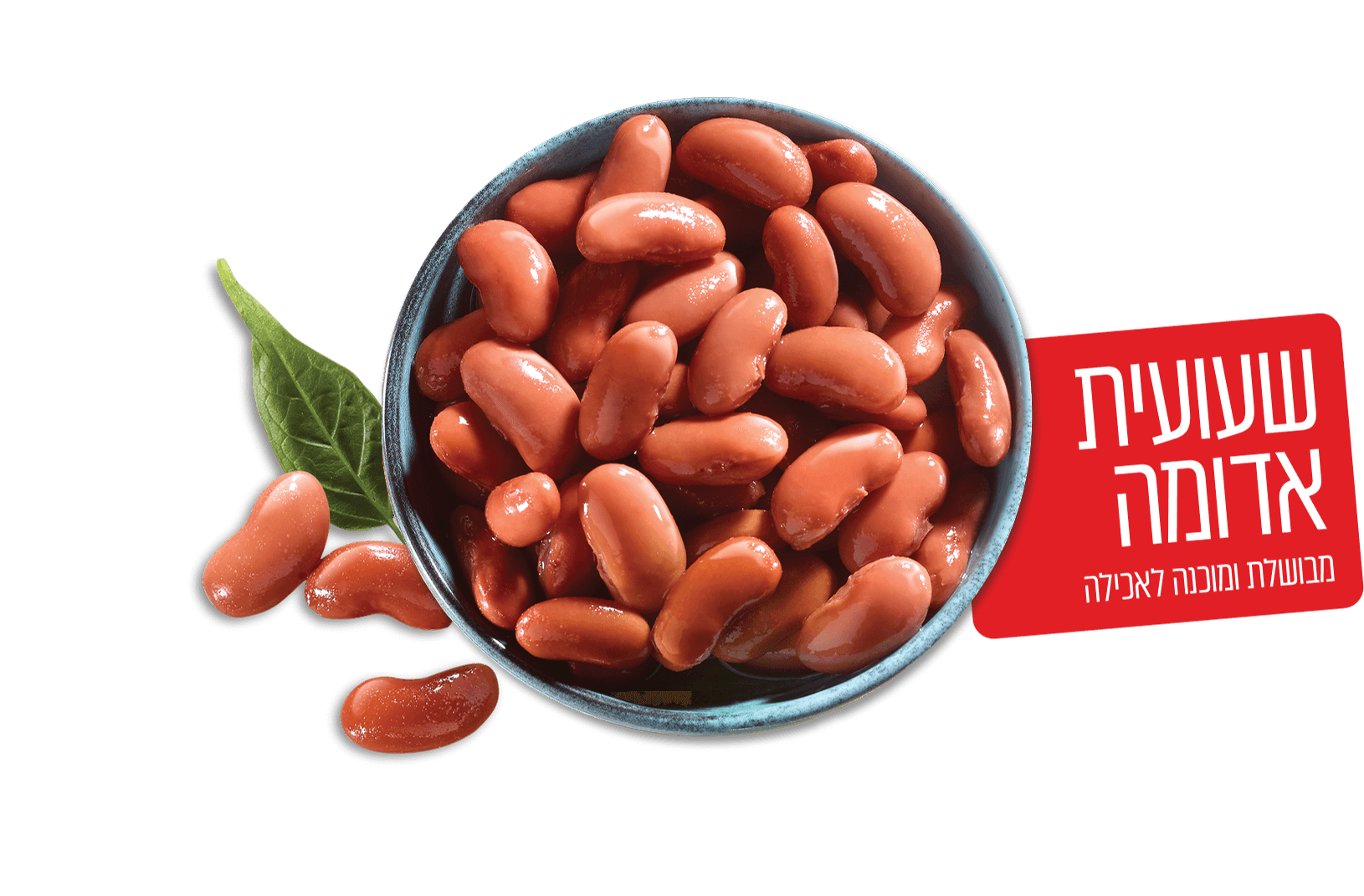 שעועית אדומה מבושלת