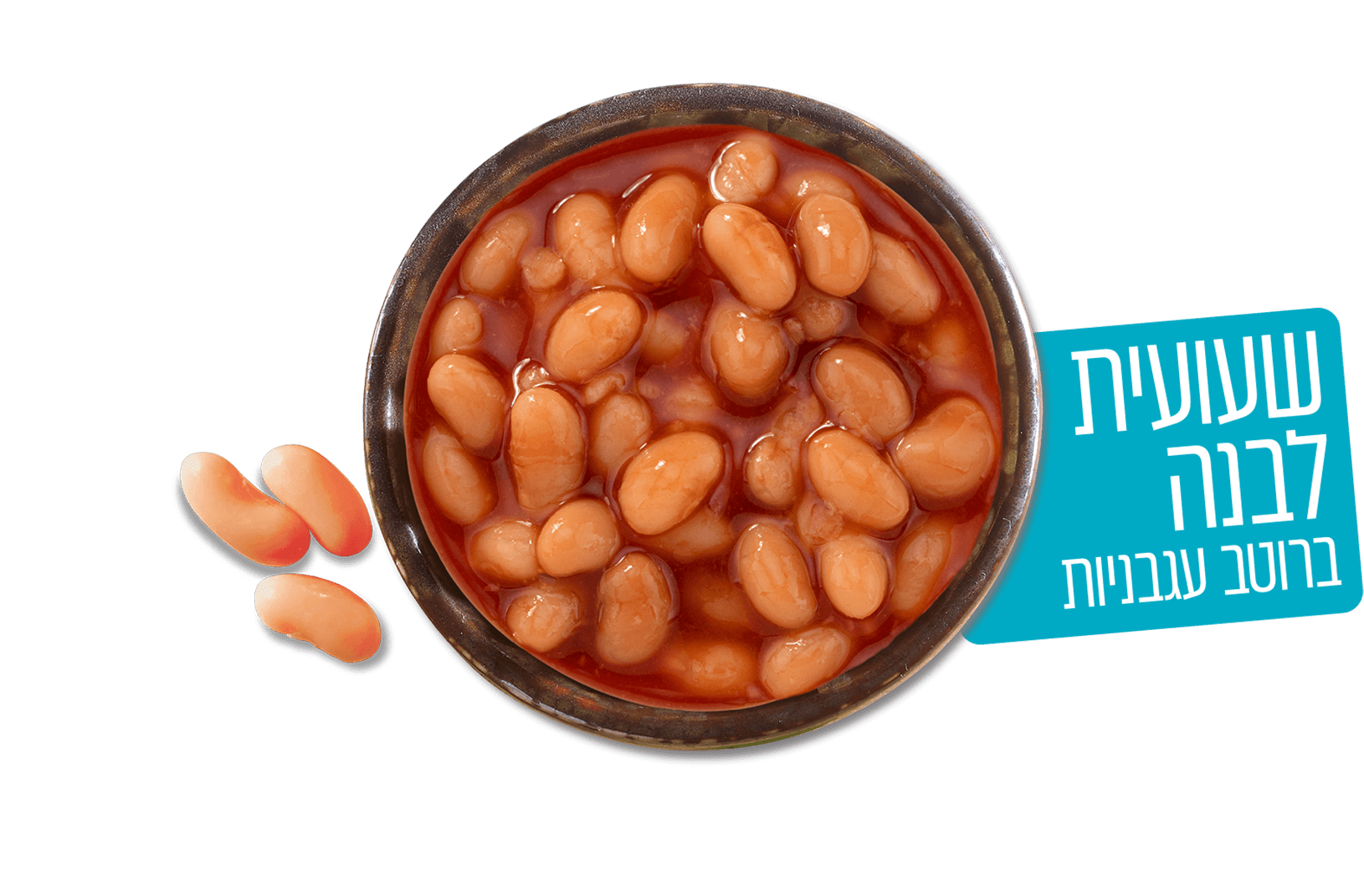 שעועית לבנה ברוטב עגבניות